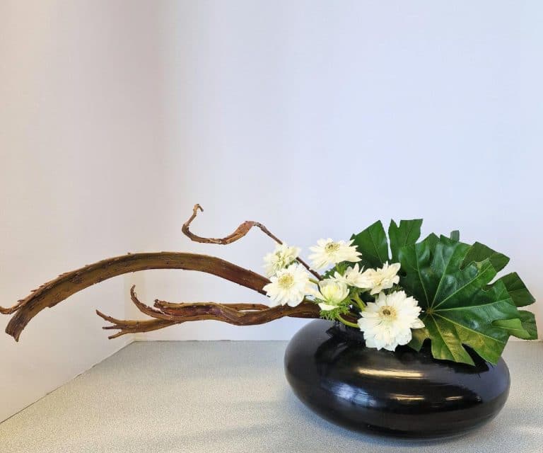 Création Flora Occitania - Art Floral à Revel