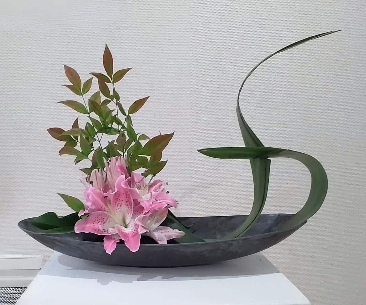 Flora Occitania Art Floral A Revel 31250 18