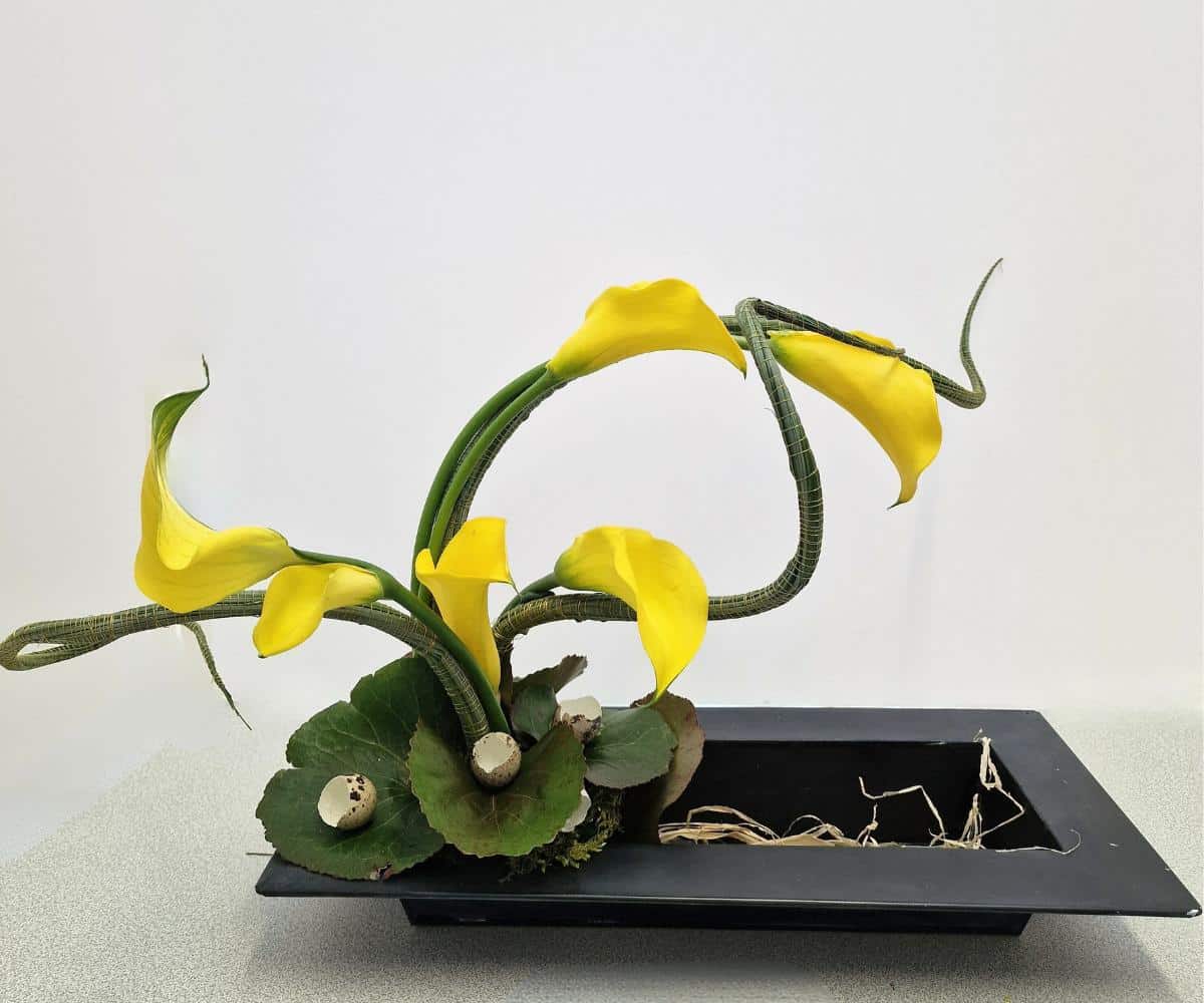 Flora Occitania Art Floral A Revel 31250 20