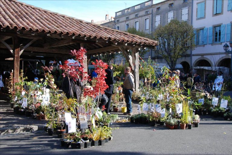 Floraoccitania Marché Aux Arbres 2022 3