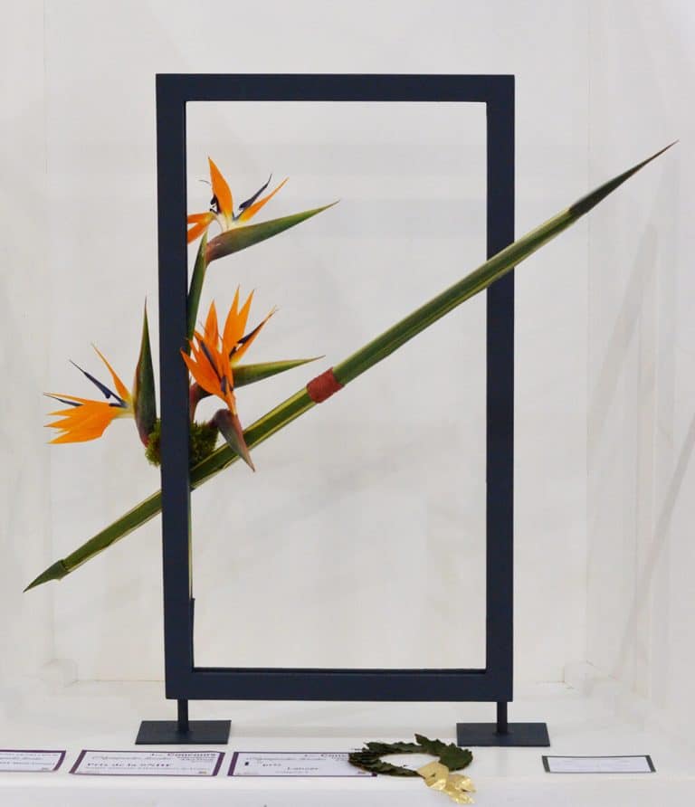 Concours Internation D'art Floral À Revel 31250 2