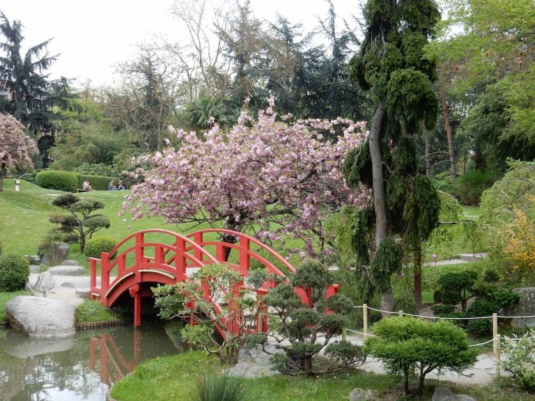 Sorties Flora Occitania 1