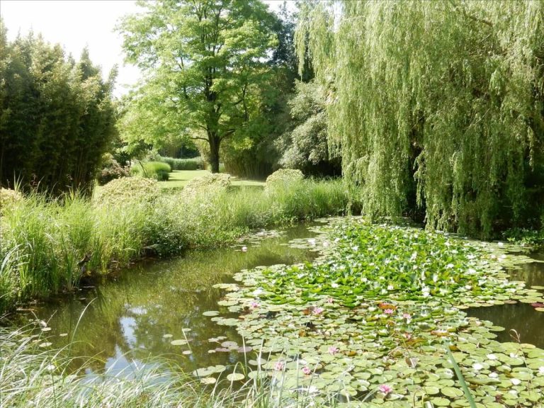 Sorties Flora Occitania 2