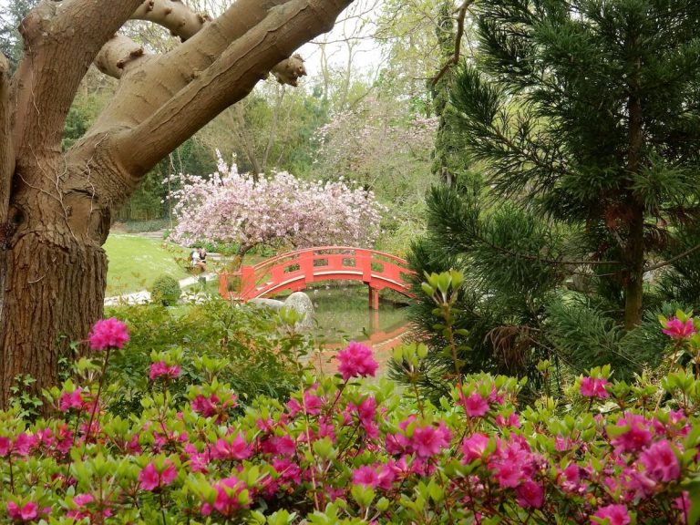 Sorties Flora Occitania 3