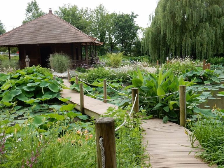 Sorties Flora Occitania 4