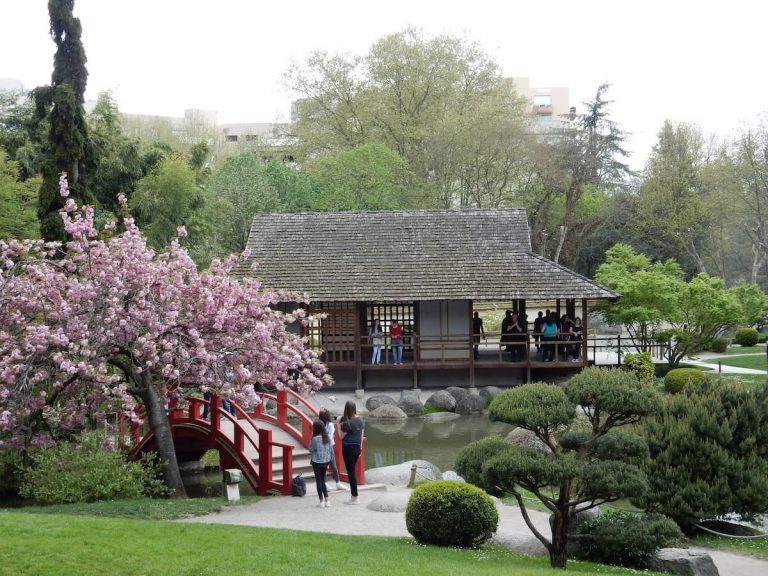 Sorties Flora Occitania 5