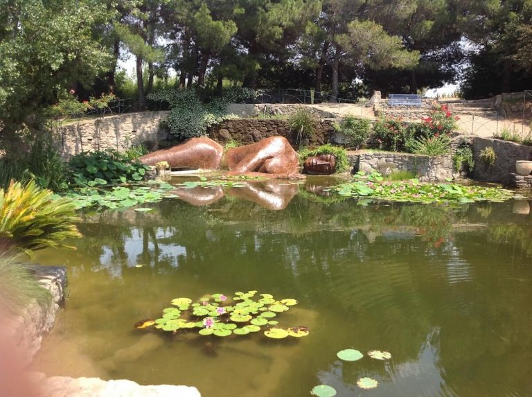 Sorties Flora Occitania 6