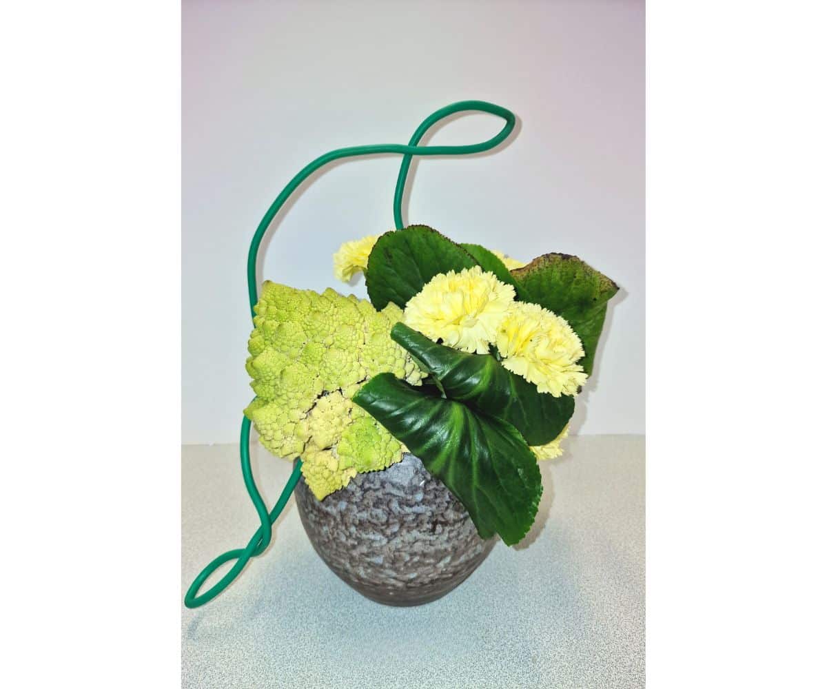 Flora Occitania Creation Septembre 2026 Bouquet Composition 3